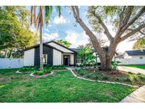 Charming single-story home with manicured front yard and inviting landscaping at 12335 Yellow Rose Cir, Riverview, FL 33569