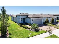Inviting single-story home featuring a well-manicured lawn and a two-car garage at 19212 Iron Topsail Isle, Land O Lakes, FL 34638