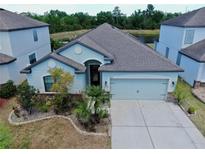 Aerial view of a single-Gathering home with manicured landscaping and a two-car garage at 11872 Thicket Wood Dr, Riverview, FL 33579