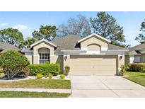 Charming single-Gathering home featuring a two-car garage, well-manicured lawn, and neat landscaping at 5105 Gato Del Sol Cir, Wesley Chapel, FL 33544