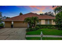 Charming single-story home with a well-manicured lawn, mature landscaping and a three car garage at 17503 Edinburgh Dr, Tampa, FL 33647