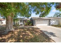 Inviting single-story home with a two-car garage, lush landscaping, and curb appeal at 8024 Timberlane Dr, Tampa, FL 33615