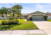 Charming single-story home featuring well-manicured lawn, mature palm trees, and an attached two-car garage at 16709 Norwood Dr, Tampa, FL 33624