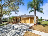 Charming home featuring a three-car garage, manicured landscaping, and a spacious driveway at 19230 Wind Dancer St, Lutz, FL 33558