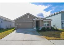 Charming single-story home with a well-maintained lawn and a two-car garage at 11517 Koti Creek Ln, Thonotosassa, FL 33592