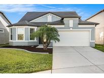 Charming single-Gathering home with a well-manicured lawn, beautiful landscaping, and a two-car garage at 7494 Pool Compass Loop, Wesley Chapel, FL 33545