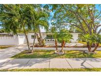 Charming single-story home featuring lush palm trees, a well-manicured lawn, and a welcoming front entrance at 1600 Connecticut Ne Ave, St Petersburg, FL 33703
