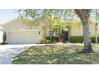 Charming single-story home with a well-maintained lawn and lush landscaping, offering inviting curb appeal at 10048 Cleghorn Dr, San Antonio, FL 33576