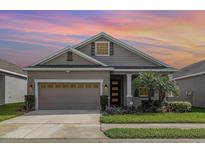 Charming single-Gathering home featuring a well-manicured lawn and a classic architectural design under a beautiful sunset at 11110 Swansea St, Riverview, FL 33578