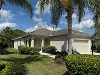 Beautifully landscaped front yard featuring lush green grass and mature palm trees against a clear blue sky at 11822 Crawford Parrish Ln, Parrish, FL 34219