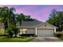 Charming one-story home with lush landscaping, private driveway, and attached two-car garage at 11521 Rose Tree Dr, New Port Richey, FL 34654