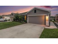 Single-Gathering home with gray stucco, concrete driveway, an attached garage, and landscaped yard at 18184 Turning Leaf Cir, Land O Lakes, FL 34638