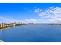 Beautiful water view overlooking the bay and city skyline, creating a serene and picturesque setting at 3301 Bayshore Blvd # 2108B, Tampa, FL 33629