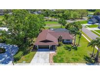 Aerial view of a charming single-story home featuring a stone chimney and lush, green lawn at 10 Arbor Ln, Oldsmar, FL 34677
