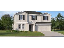 Charming two-story home featuring a modern design, two-car garage, and well-manicured lawn at 10232 Purple Leaf Ct, Riverview, FL 33578
