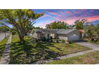 Charming single story home featuring mature landscaping and well maintained lawn at 2755 Merlin Way, Clearwater, FL 33761