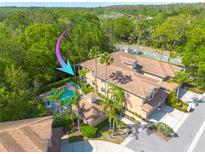 Beautiful condo with pool, lush landscaping, and mature palm trees in a serene setting at 4206 Preserve Pl, Palm Harbor, FL 34685
