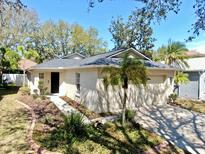 Charming single-story home featuring a well-manicured lawn and a freshly painted exterior at 8307 Quarter Horse Dr, Riverview, FL 33578