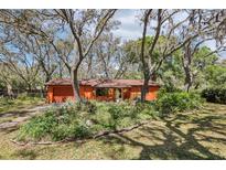 Charming single-story home with lush landscaping, mature trees, and a brick driveway at 33357 Westwood Dr, Ridge Manor, FL 33523