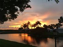 Beautiful sunset reflecting on a pond, with palm trees silhouetted against the colorful sky at 1002 Pussywillow Ln, Bradenton, FL 34208