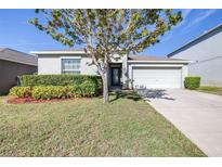 Charming single-story home with a well-manicured lawn, mature tree, and attached two-car garage on a sunny day at 207 Archcliffe Point Pl, Dover, FL 33527