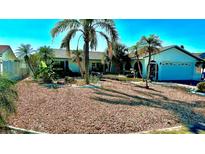 Single-story home with a well-maintained yard and mature palm trees in a sunny setting at 6526 Senegal Palm Way, Apollo Beach, FL 33572