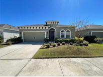 Charming single-story home with well-manicured landscaping and a two-car garage at 11193 Spring Point Cir, Riverview, FL 33579
