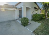 Charming single-story home with a well-maintained lawn and inviting front entrance at 12639 Lemon Pepper Dr, Riverview, FL 33578