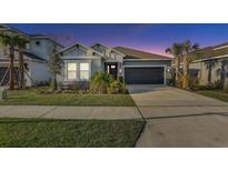 Charming single-story home with well-manicured lawn and mature palm trees, perfect for Florida living at 33886 Landsman Loop, Wesley Chapel, FL 33543