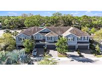 Aerial view of blue townhouses with dark garage doors, complemented by lush greenery and paved driveways at 1110 Rose Blossom Ct, Tampa, FL 33613