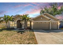 Charming single-story home with a well-manicured lawn, palm trees, and a three-car garage at 12519 Safari Ln, Riverview, FL 33579