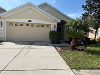 Inviting single-Gathering home featuring a manicured front yard, palm trees, and a two-car garage at 20224 Natures Spirit Dr, Tampa, FL 33647