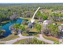 An aerial view of a home with a large private lake and a spacious property surrounded by lush greenery at 8403 Southwood Pines St, Lithia, FL 33547