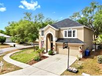Charming two-story home featuring manicured landscaping and a spacious two car driveway at 934 Grand Canyon Dr, Valrico, FL 33594