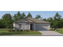 Charming one-story home featuring a two-car garage, well-manicured lawn and stylish gray paint at 8086 Painted Sky Pl, Land O Lakes, FL 34637