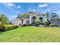 Beautiful home with lush green lawn, manicured landscaping, and tropical palm trees, creating a welcoming exterior at 706 Bunker View Dr, Apollo Beach, FL 33572