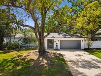 Charming single-story home featuring a brick exterior, mature trees and a well-manicured lawn at 1666 N Dakota Ne Ave, St Petersburg, FL 33703