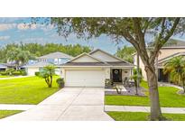 Charming single-Gathering home with well-manicured lawn, two-car garage, and attractive front porch at 18150 Leamington Ln, Land O Lakes, FL 34638