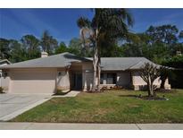Charming single-story home with a well-maintained lawn, mature trees and two-car garage at 3189 Roxmere Dr, Palm Harbor, FL 34685