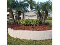 Landscaped entrance sign for Country Club Condominiums Association III amid palm trees and manicured lawn at 113 Nina Way # 113, Oldsmar, FL 34677