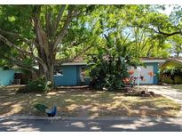 Charming blue home with mature landscaping, complemented by a peacock in the front yard at 2047 Indigo Dr, Clearwater, FL 33763