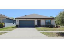 Charming single-story home featuring a well-manicured lawn, neutral paint, and a convenient two-car garage at 901 Golden Shiner Ave, Ruskin, FL 33570
