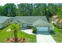 Charming single-story home with a well-manicured lawn, mature trees, and an attached two-car garage at 5343 Sagamore Ct, New Port Richey, FL 34655