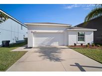 Well-manicured, one-story home with a two-car garage and a driveway, with an easy to maintain front lawn at 1506 Climbing Dayflower Dr, Ruskin, FL 33570