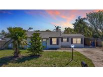 Charming single-story home with a well-manicured lawn, mature trees, and inviting curb appeal at 1209 W Camellia Dr, Brandon, FL 33510