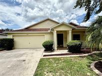 Charming single-story home with a well-manicured lawn and attached two-car garage at 224 Chardonnay Pl, Valrico, FL 33594