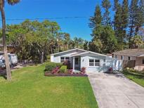 Charming single-story home with a well-manicured lawn, landscaping, and a concrete driveway at 1775 Michigan Ne Ave, St Petersburg, FL 33703