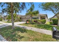 Charming single-story home featuring a well-maintained lawn and inviting curb appeal at 11638 Palmetto Pine St, Riverview, FL 33569