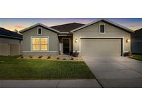 Charming single-story home featuring a well-manicured lawn, neutral exterior, and an attached two-car garage at 10196 Cross Timber Ter, Land O Lakes, FL 34638