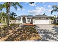 Charming single-story home featuring a manicured lawn, mature trees, and a two-car garage at 426 Village Dr, Tarpon Springs, FL 34689